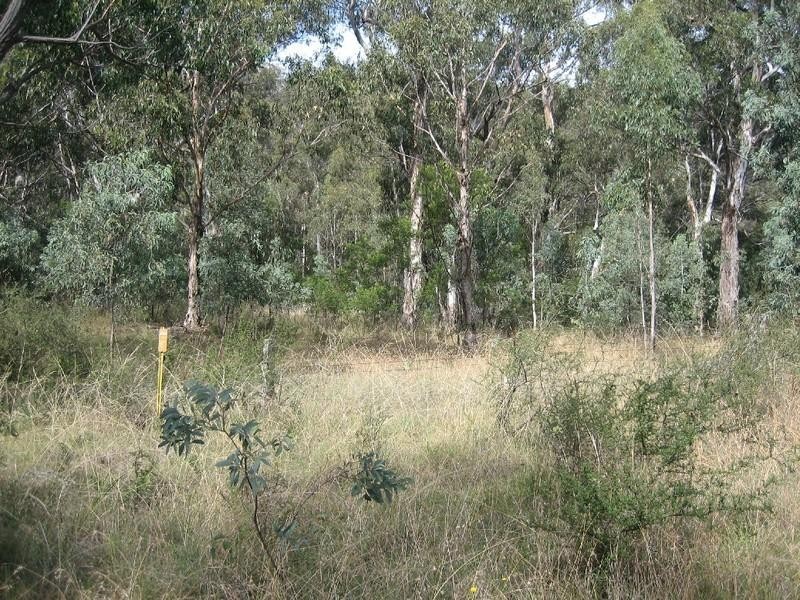 Lot 4/143 Coxs River Road, Little Hartley NSW 2790