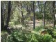 Blackheath NSW 2785