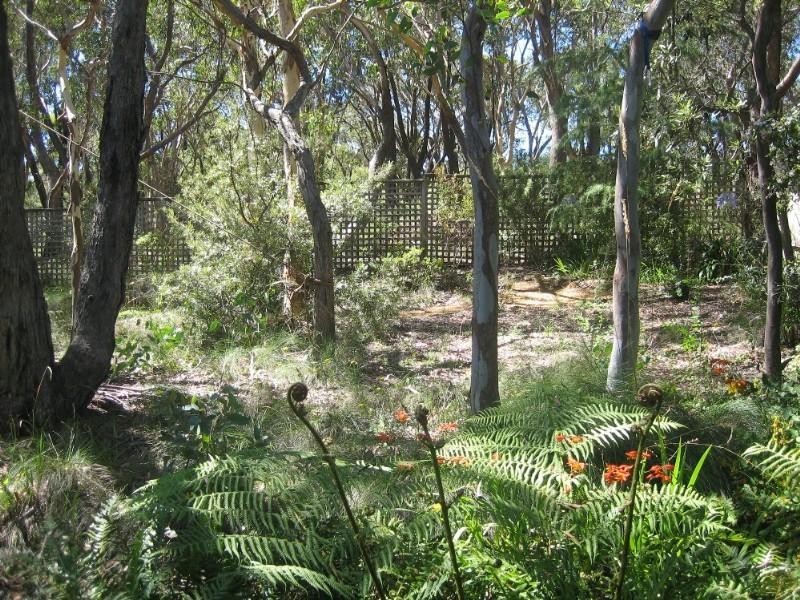 Blackheath NSW 2785