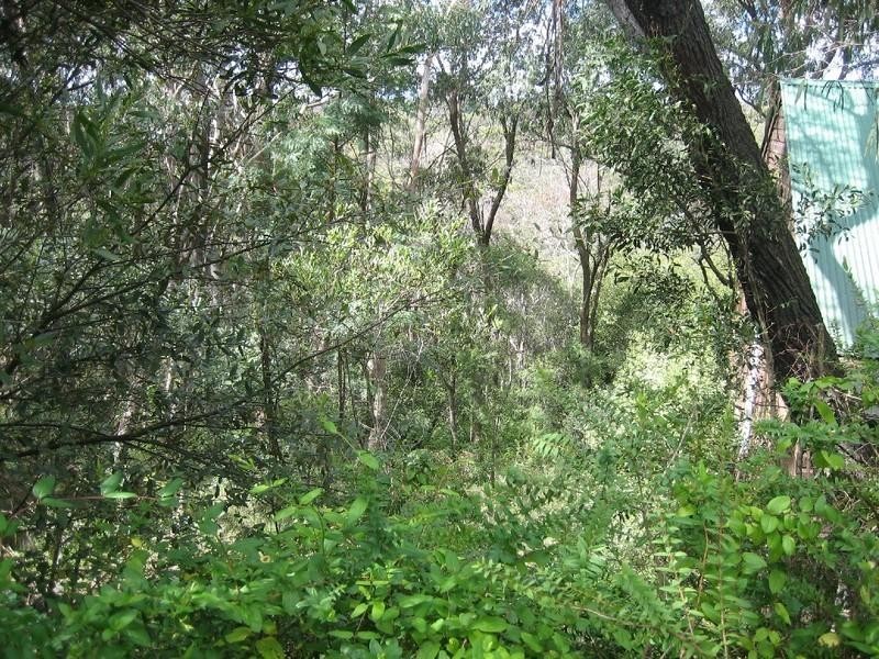 17 Rodriguez Avenue, Blackheath NSW 2785