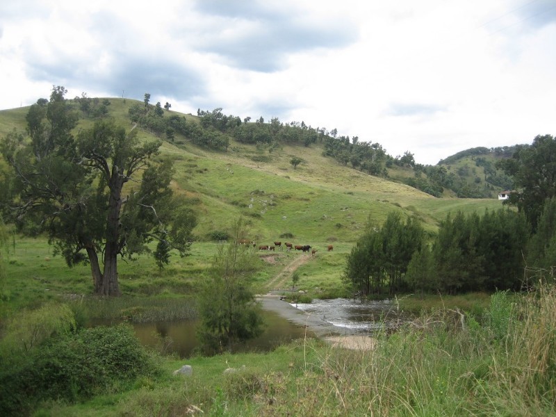 Lot 52, 299&300 Clark Simpson Road, Little Hartley NSW 2790