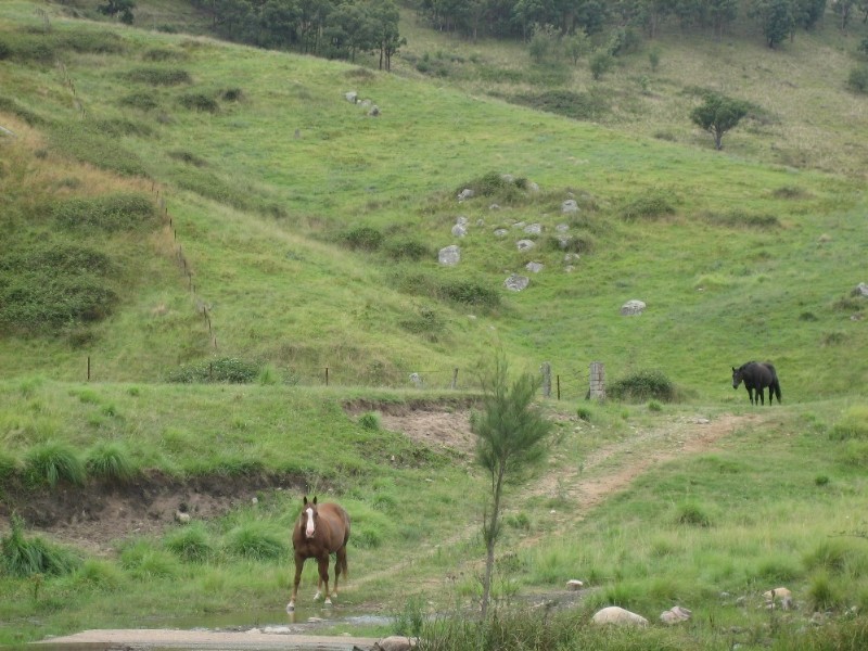 Lot 52, 299&300 Clark Simpson Road, Little Hartley NSW 2790