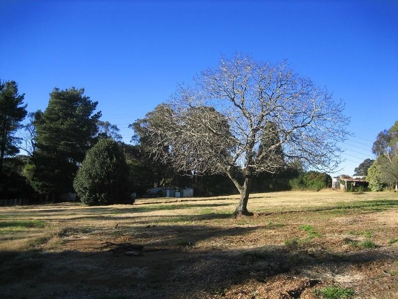 Lot 101 McCall Avenue, Blackheath NSW 2785
