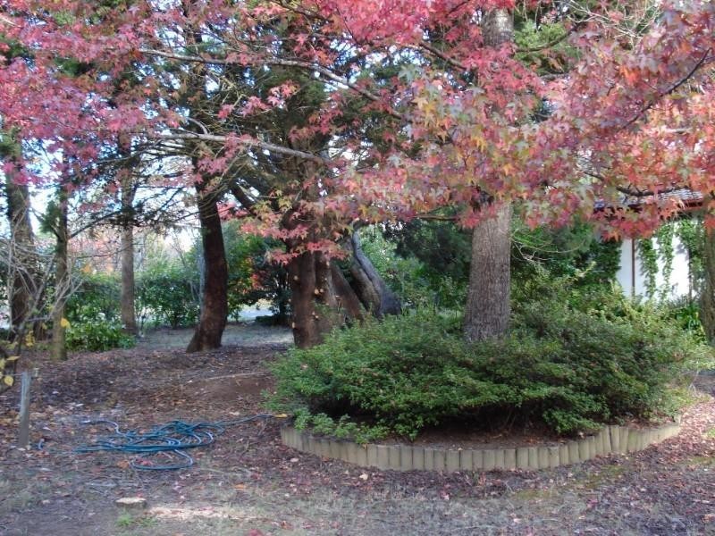 10 Jubilee Avenue, Blackheath NSW 2785