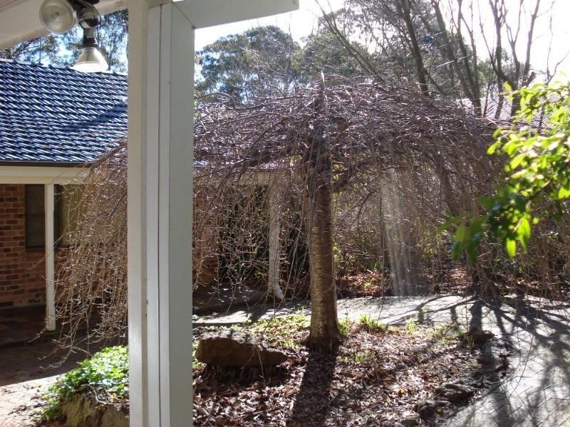 16 Hillier Avenue, Blackheath NSW 2785