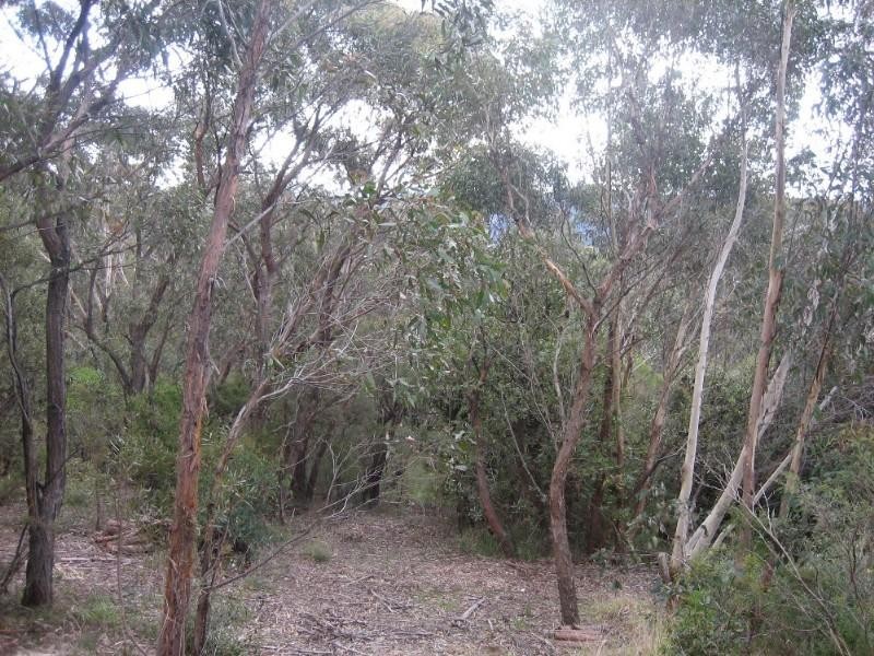 43 Delmonte Avenue, Medlow Bath NSW 2780