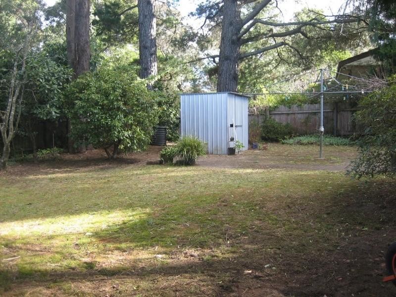 Blackheath NSW 2785