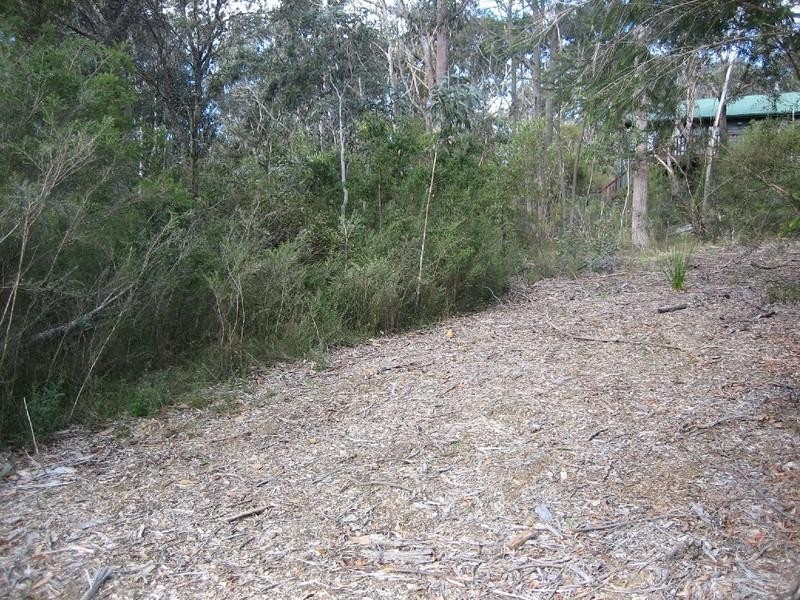 31 Second Street, Blackheath NSW 2785