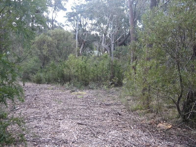 31 Second Street, Blackheath NSW 2785
