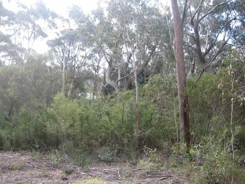 31 Second Street, Blackheath NSW 2785