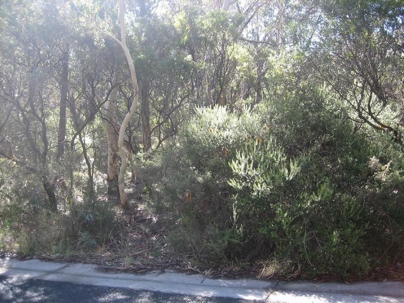 63 Shipley Road, Blackheath NSW 2785