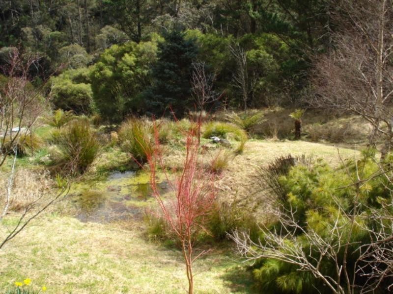 40 Gordon Avenue, Blackheath NSW 2785