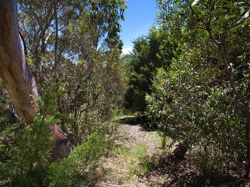 43 Delmonte Avenue, Medlow Bath NSW 2780