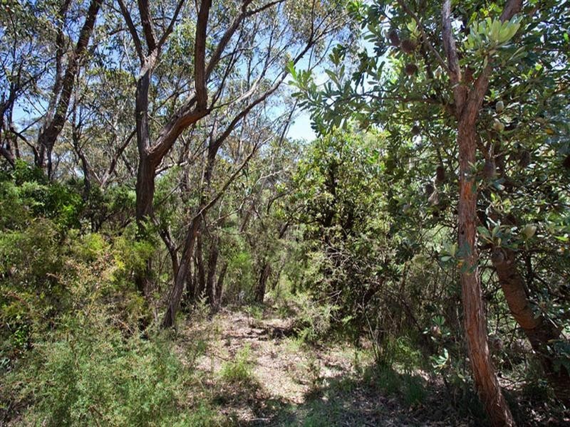 43 Delmonte Avenue, Medlow Bath NSW 2780