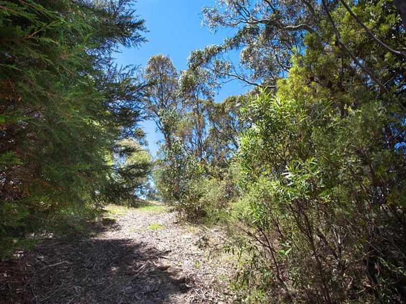 43 Delmonte Avenue, Medlow Bath NSW 2780