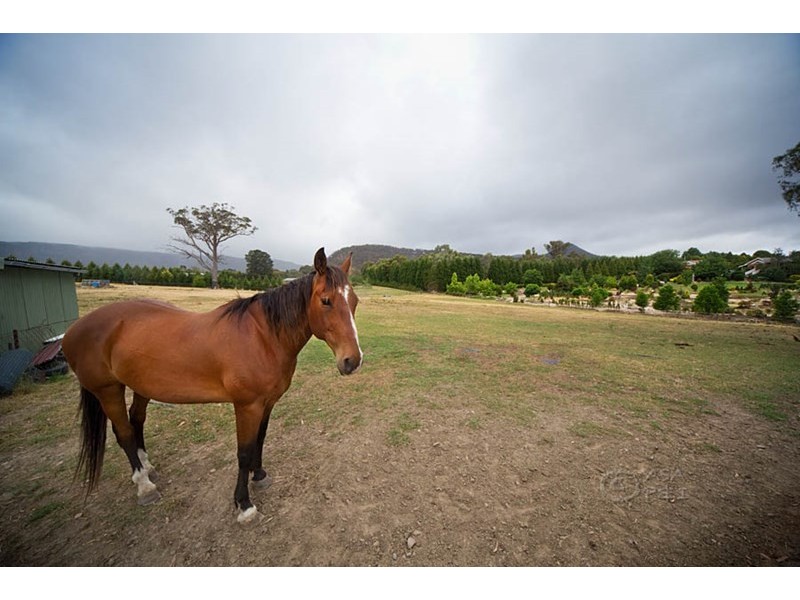 71 Baaners Lane, Little Hartley NSW 2790