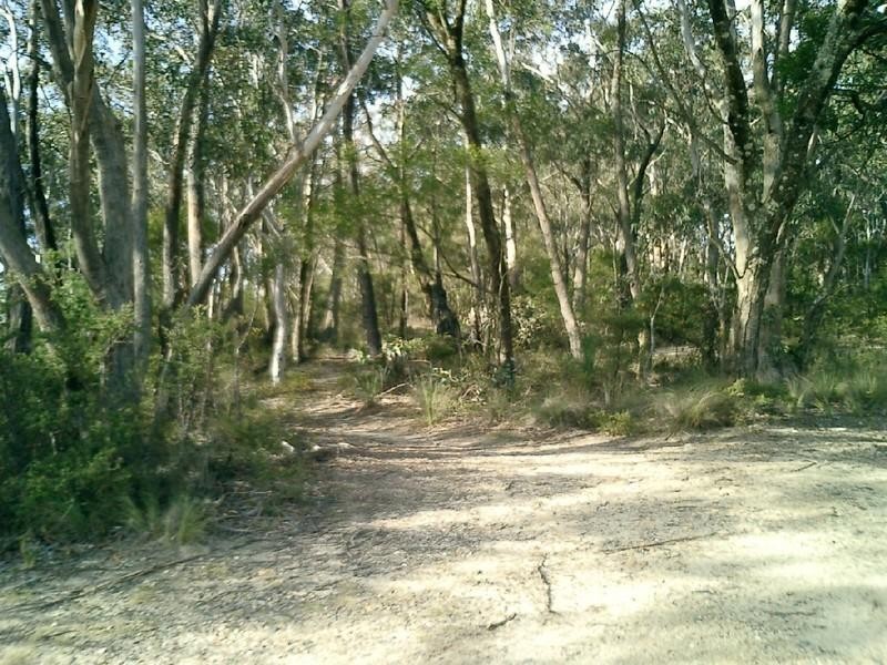 69 Victoria Street, Mount Victoria NSW 2786