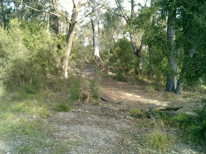 69 Victoria Street, Mount Victoria NSW 2786