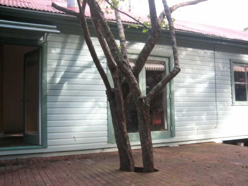 80 Godson Ave,, Blackheath NSW 2785