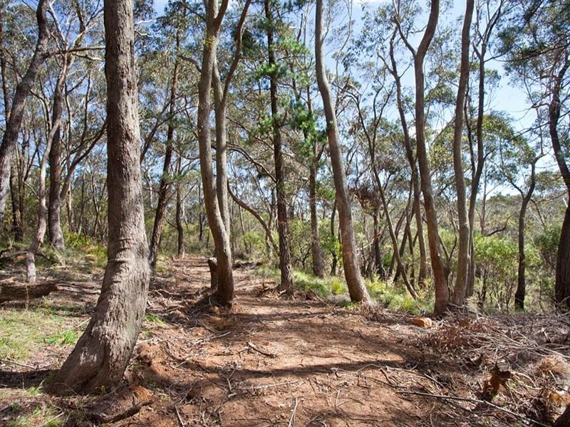 83-91 Connaught Road, Blackheath NSW 2785