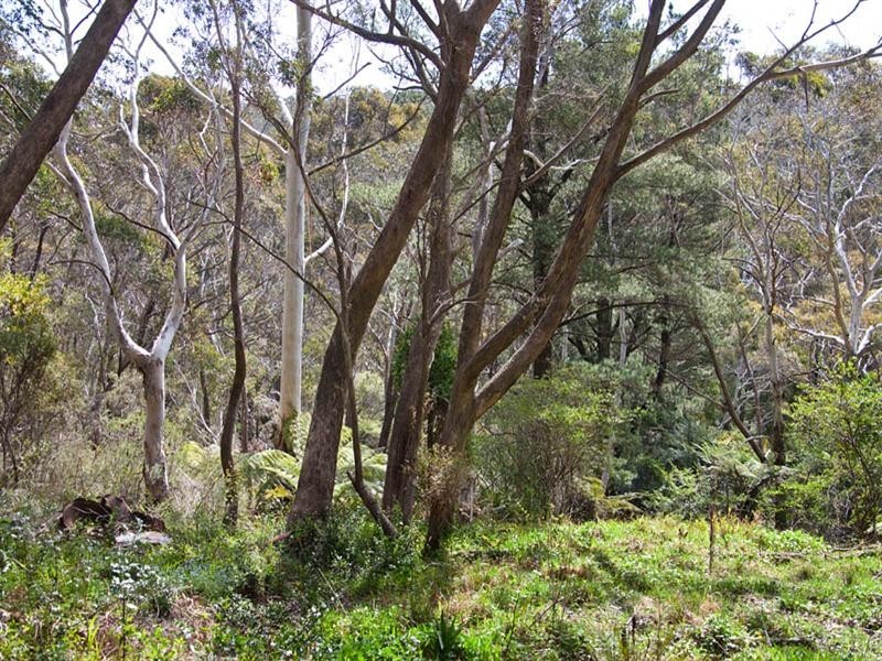 83-91 Connaught Road, Blackheath NSW 2785