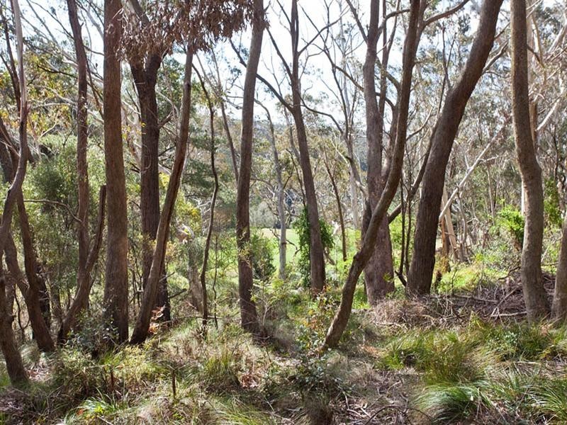 83-91 Connaught Road, Blackheath NSW 2785