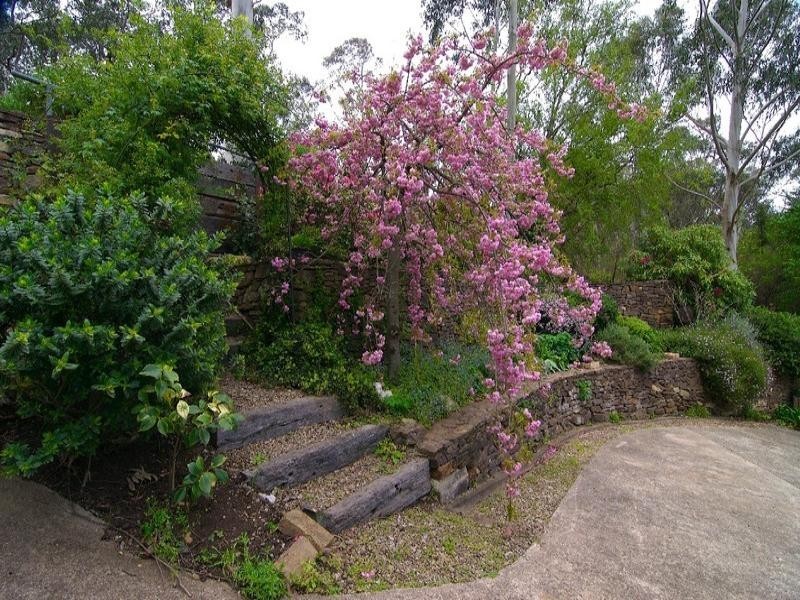 Mount Victoria NSW 2786