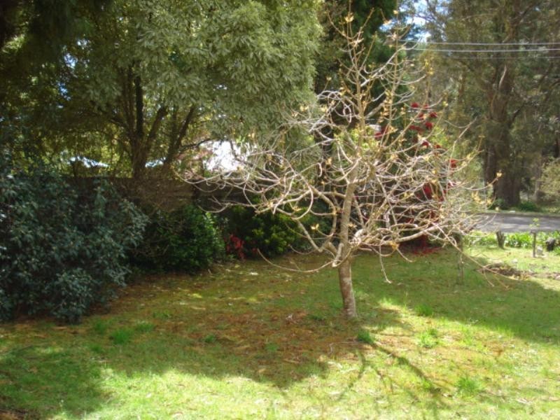 6 Walker Street, Blackheath NSW 2785