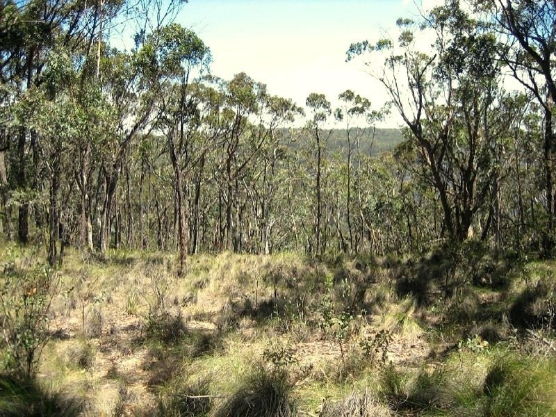 64-66 St Georges Parade, Mount Victoria NSW 2786