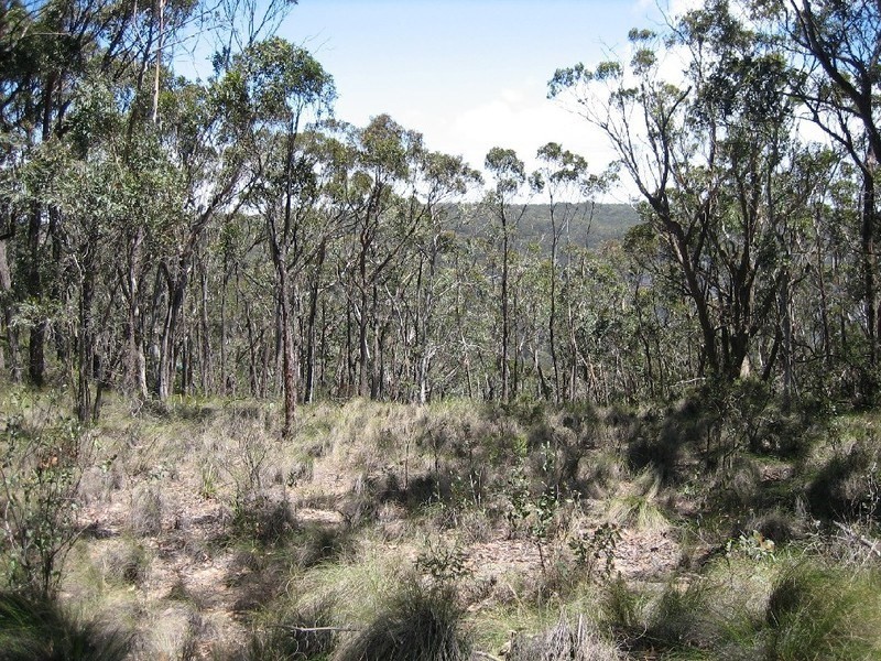 64-66 St Georges Parade, Mount Victoria NSW 2786