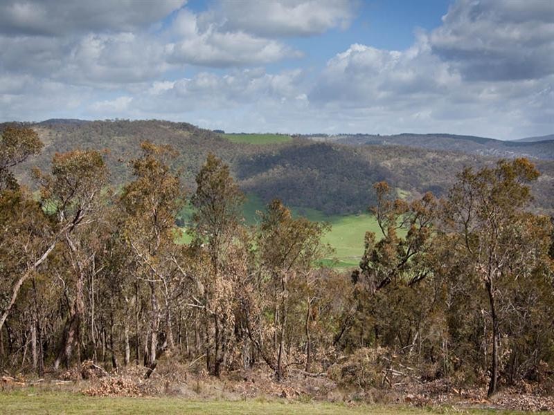 Little Hartley NSW 2790