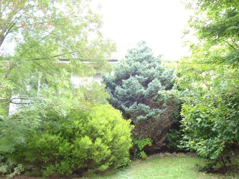 63 Godson Avenue, Blackheath NSW 2785