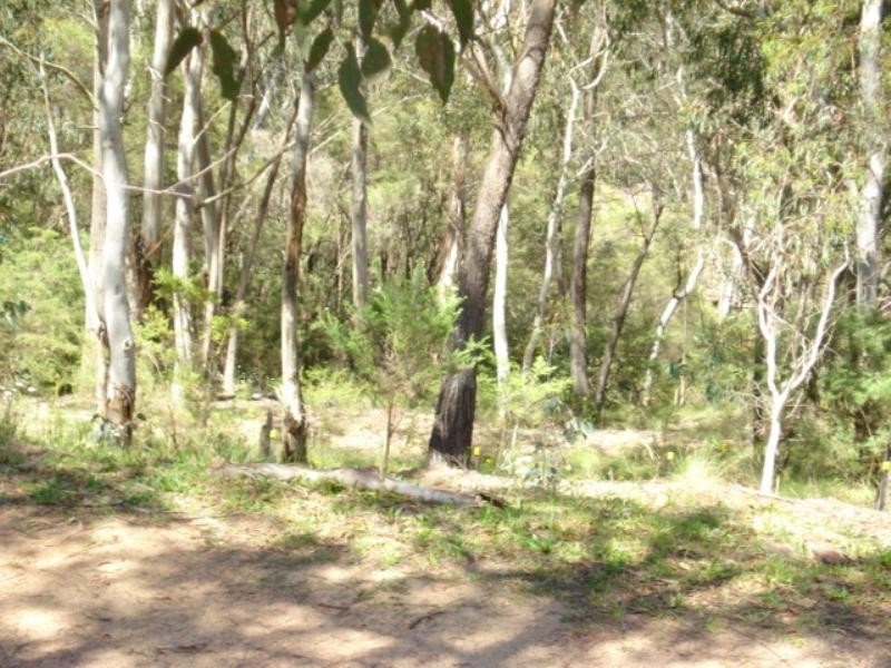 158 Victoria Street, Mount Victoria NSW 2786