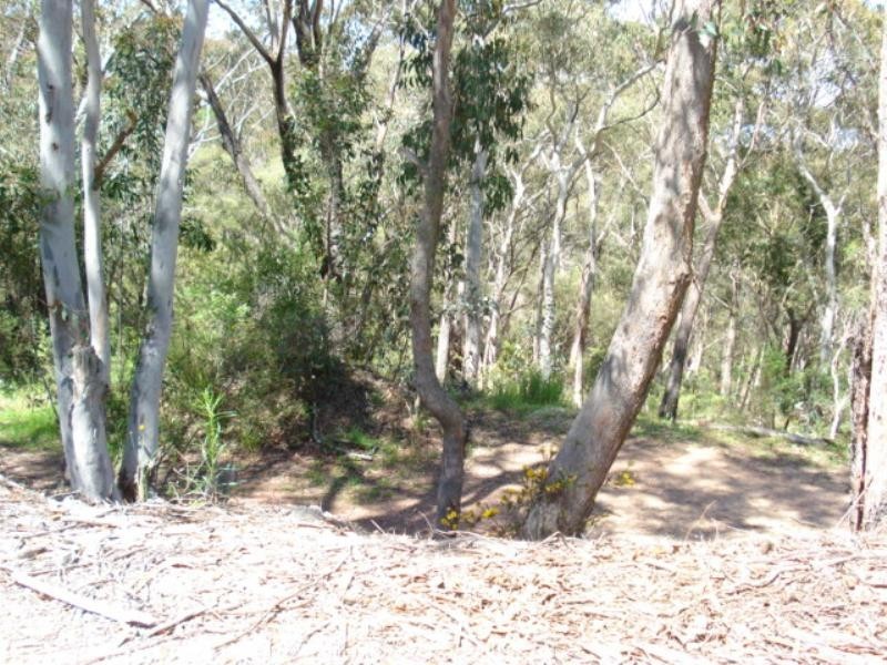 158 Victoria Street, Mount Victoria NSW 2786