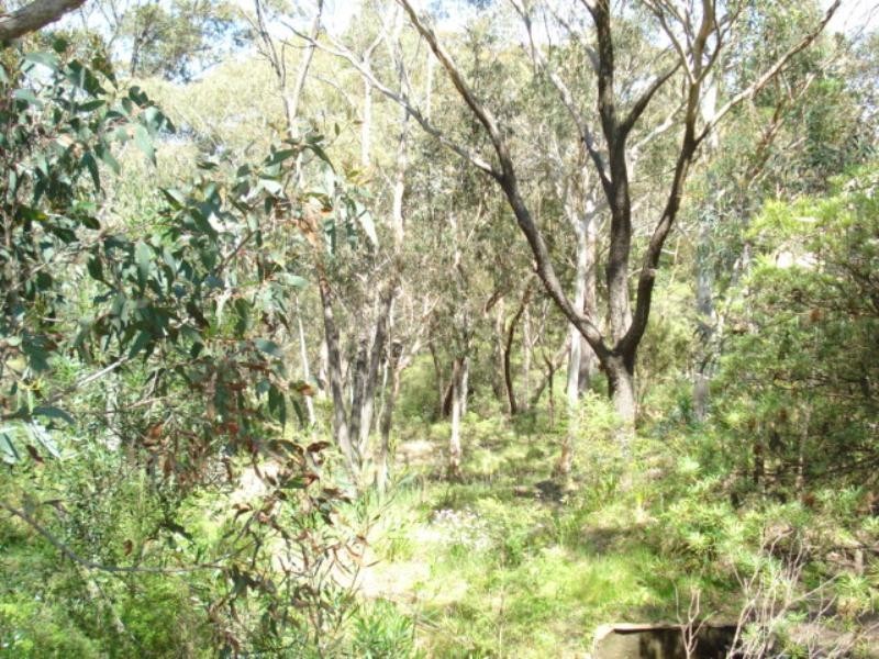 158 Victoria Street, Mount Victoria NSW 2786