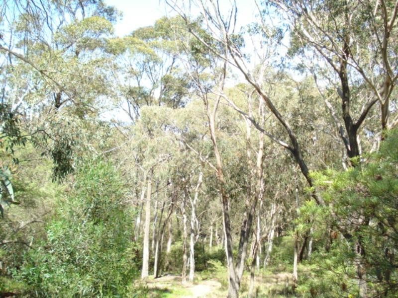 158 Victoria Street, Mount Victoria NSW 2786