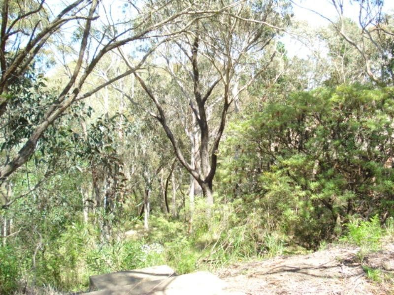 158 Victoria Street, Mount Victoria NSW 2786