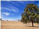 Lot 22, 591 Cox’s River Road, Little Hartley NSW 2790