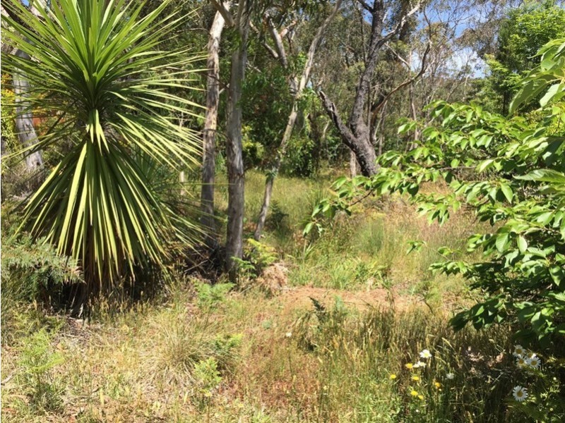 6 St Andrews Avenue, Blackheath NSW 2785