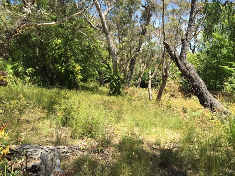 6 St Andrews Avenue, Blackheath NSW 2785