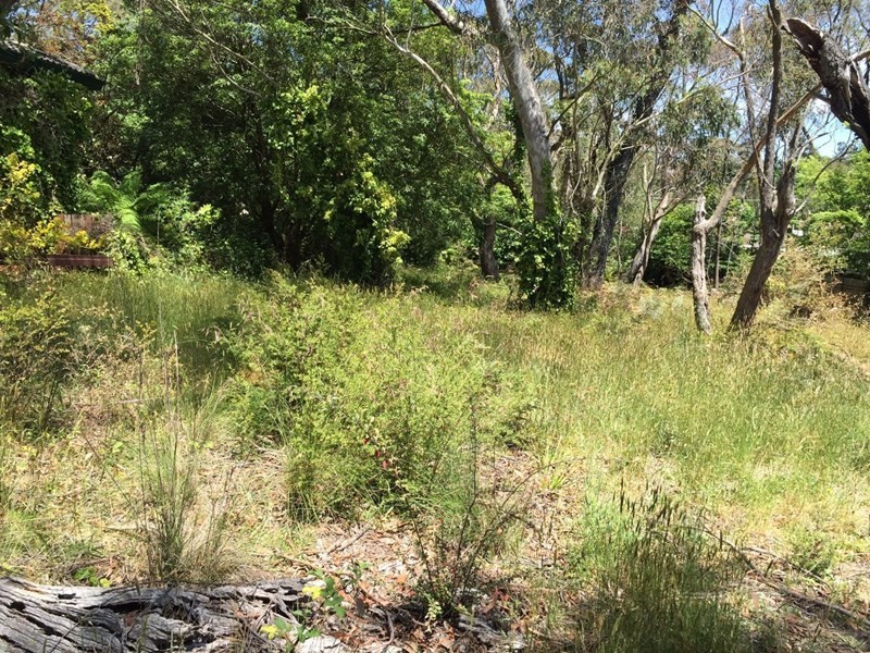 6 St Andrews Avenue, Blackheath NSW 2785