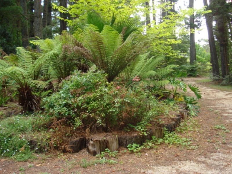 112 Cleopatra Street, Blackheath NSW 2785