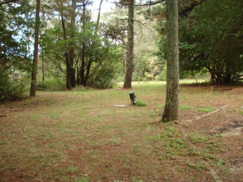 112 Cleopatra Street, Blackheath NSW 2785