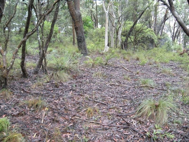 4 Innes Road, Mount Victoria NSW 2786