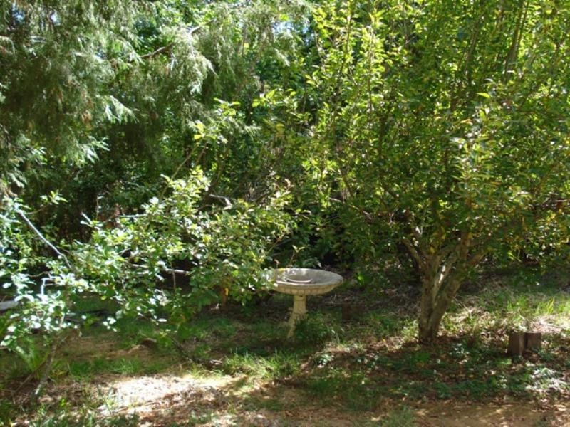 24 Harrison Street, Blackheath NSW 2785