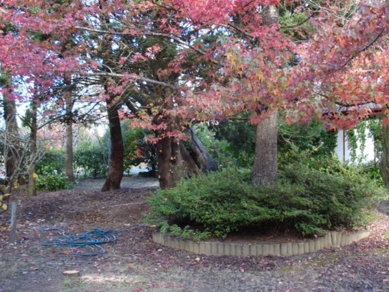 10 Jubilee Avenue, Blackheath NSW 2785