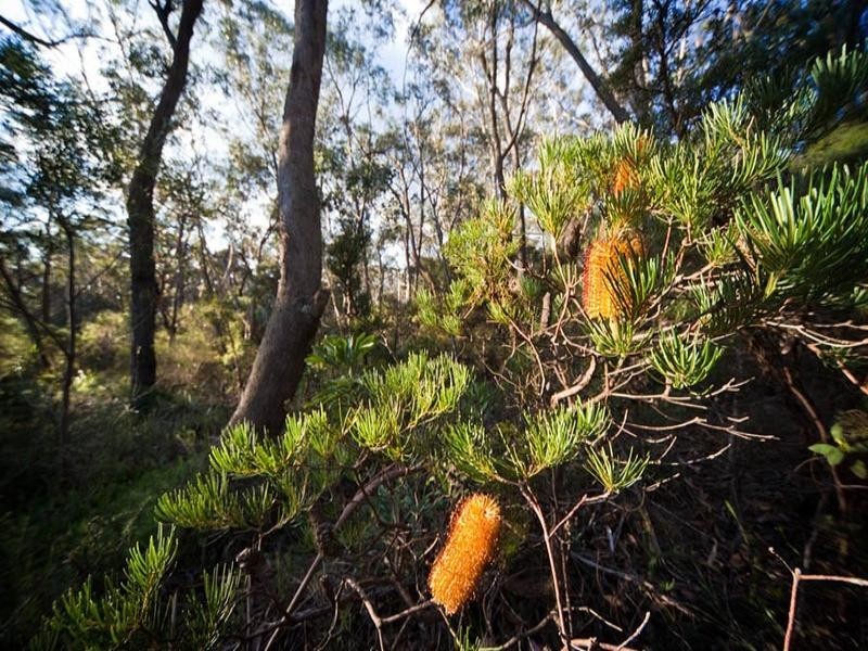 35 – 39 St Albans Road, Medlow Bath NSW 2780