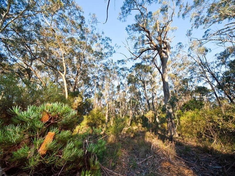 35 – 39 St Albans Road, Medlow Bath NSW 2780