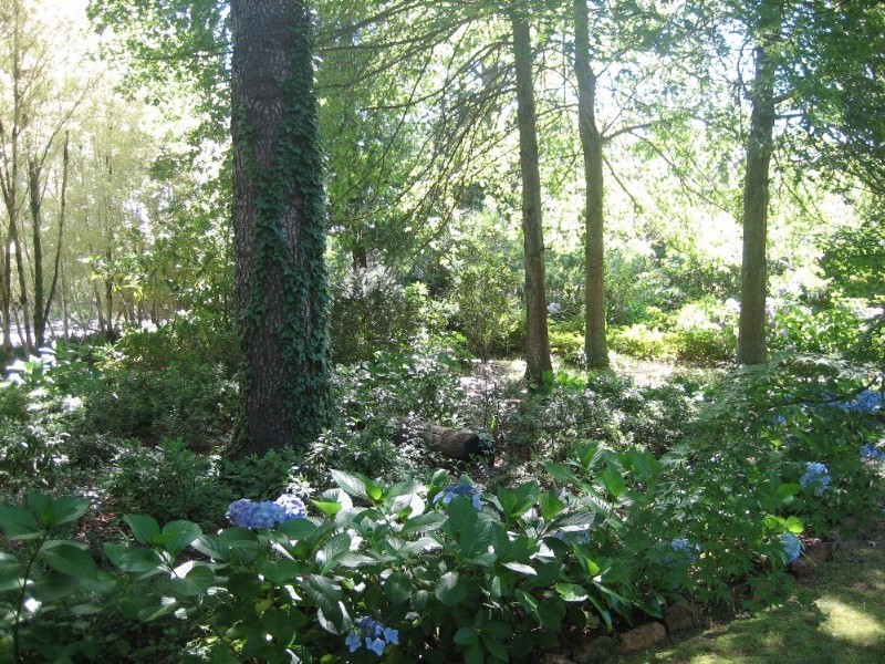 14 Station Street, Medlow Bath NSW 2780