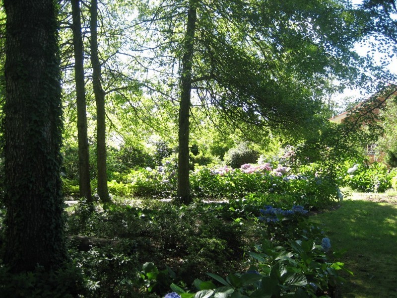 14 Station Street, Medlow Bath NSW 2780